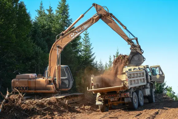 Kasyno Golden Crown Wsparcie